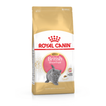 Royal Canin British Shorthair Kitten 2kg